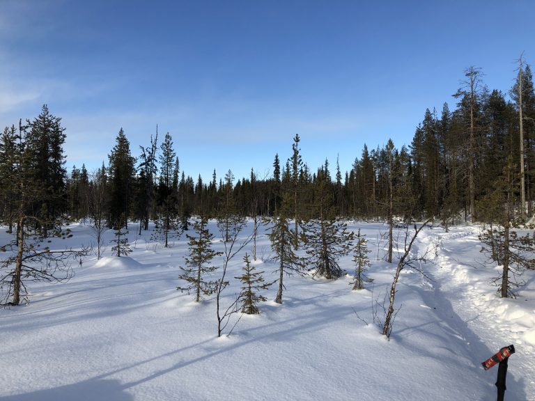 Winteraktivwoche Finnisch Lappland