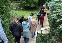 Büro-Gymnastik und Baum-Meditation